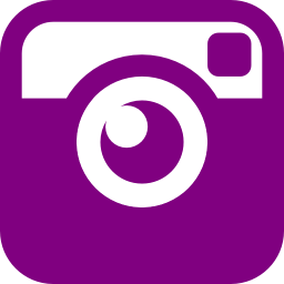256x256 Free Purple Instagram Icon