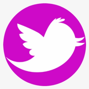 300x300 Twitter Png Images Png Cliparts Free Download On Seekpng