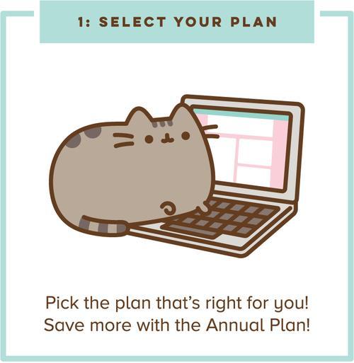500x513 Pusheen Box The Internet's Favorite Cat!