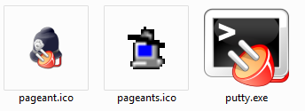344x125 Pageant Icon Issue