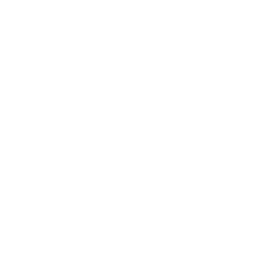 White Puzzle Icon 256x256 White Puzzle Icon