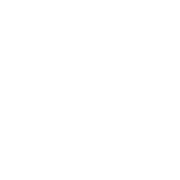 256x256 White Puzzle Piece Icon