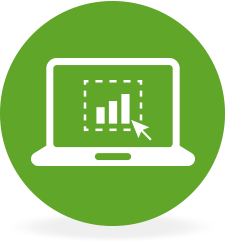 225x247 Qlikview Server Icon