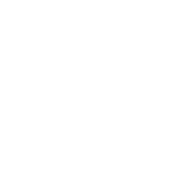 256x256 White Qr Code Icon