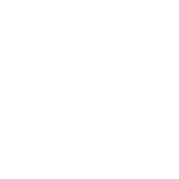 White 256x256 White