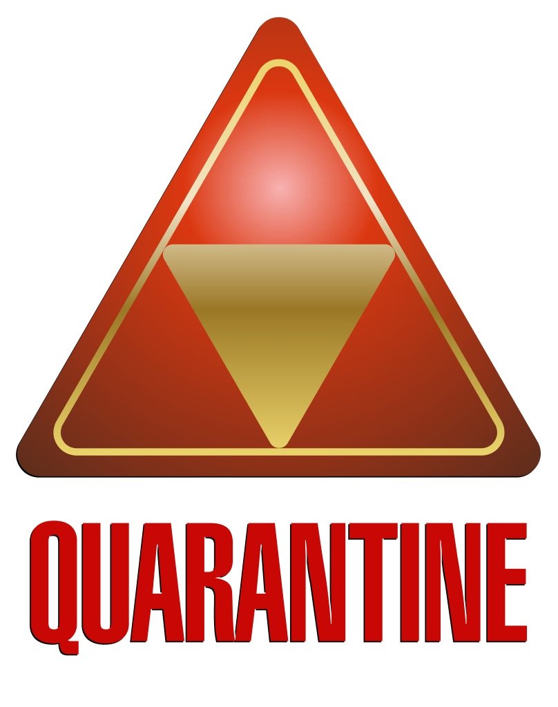 808x1024 Quarantine Icon