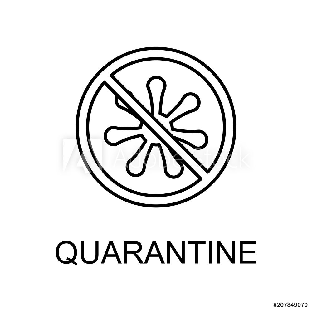 1000x1000 Photo Art Print Quarantine Outline Icon Europosters