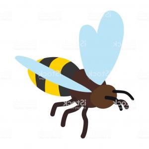 Queen Bee Isometric D Icon Gm Hoodamathrun 300x300 Queen Bee Isometric D Icon Gm Hoodamathrun