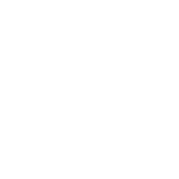 256x256 White Queen Icon