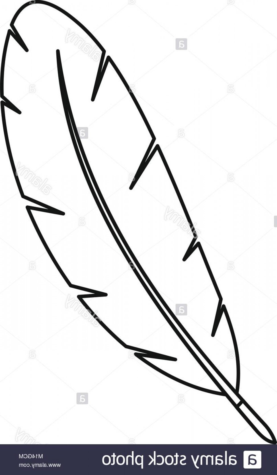 973x1668 Stock Photo Feather Pen Icon Outline Createmepink