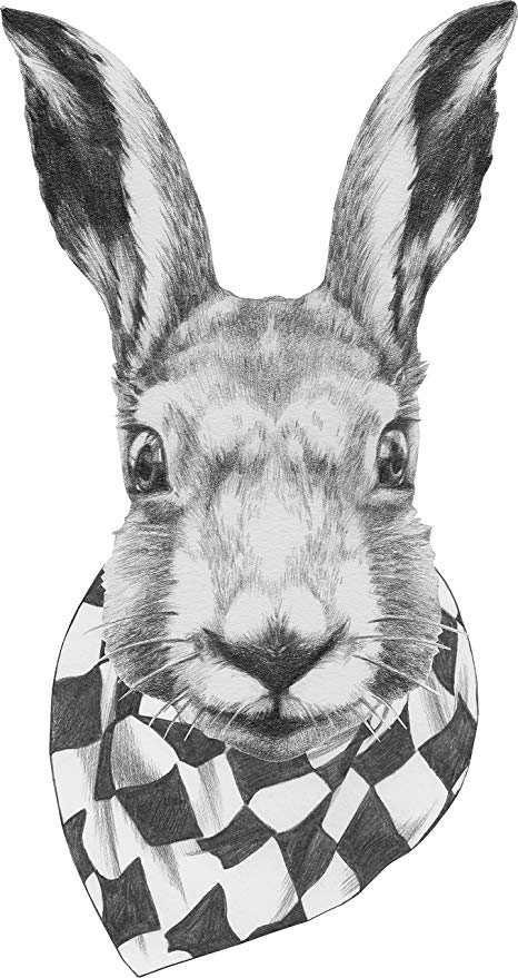 466x879 Cool Realistic Artistic Hipster Bunny Rabbit Icon