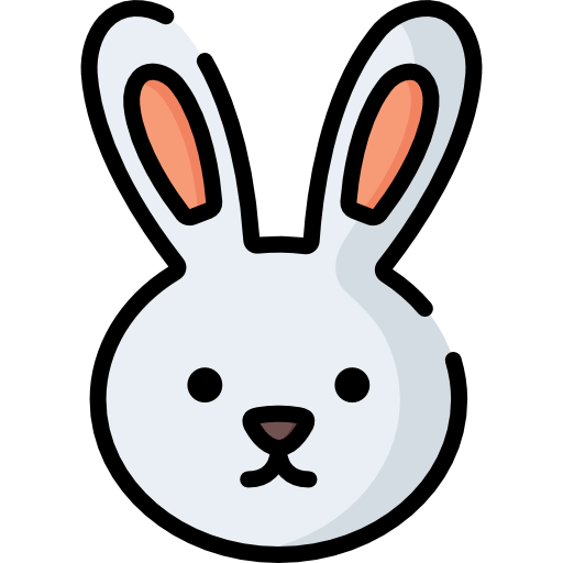 512x512 Rabbit