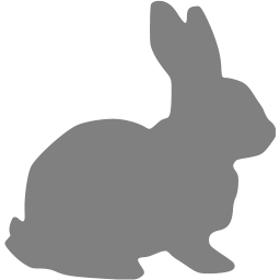 256x256 Gray Rabbit Icon