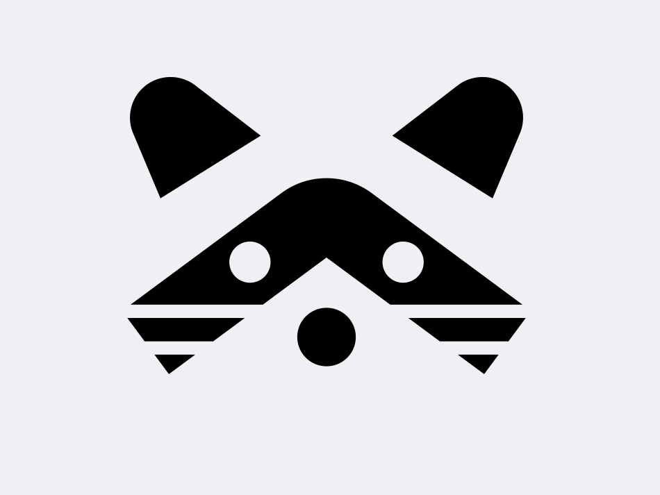 950x713 Raccoon