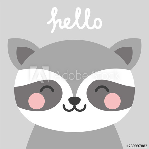 500x500 Raccoon Icon Pattern, Animal Face Background