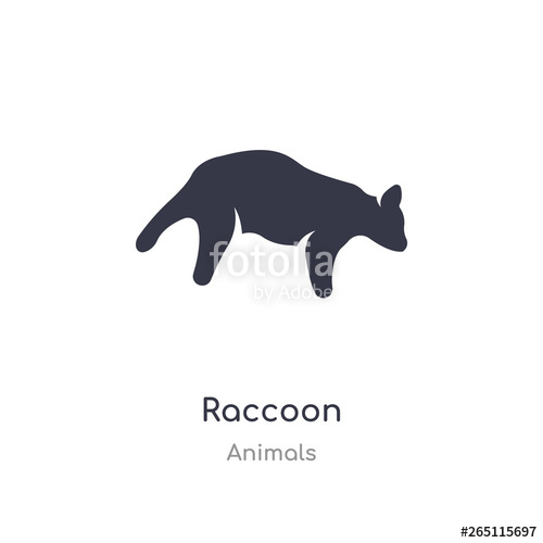 500x500 Raccoon Icon Isolated Raccoon Icon Vector Illustration