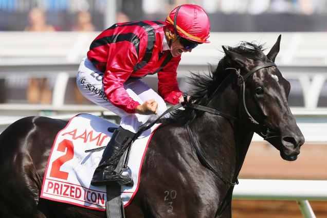 636x424 Prized Icon Horse Profile, Form Guide Latest Odds