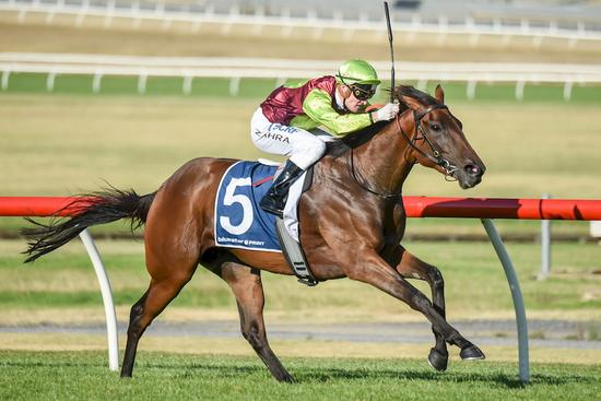 550x367 Street Icon Year Old Bay Mare