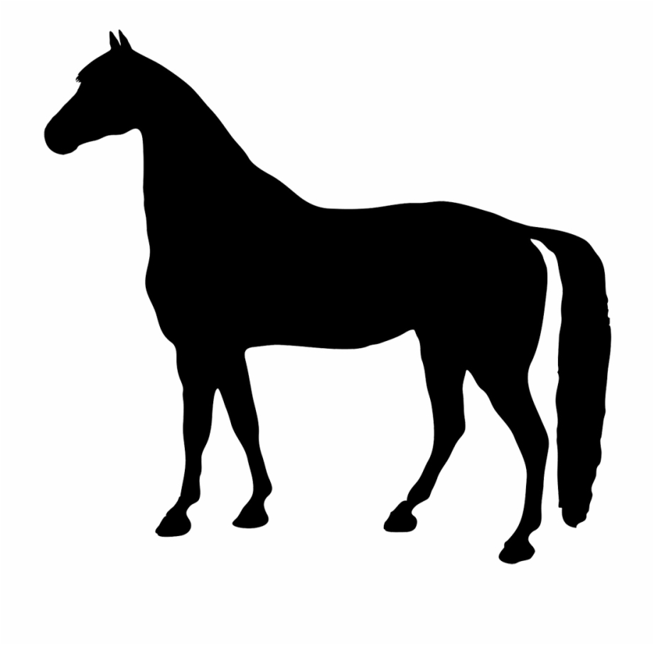 920x906 Black Silhouette Horse