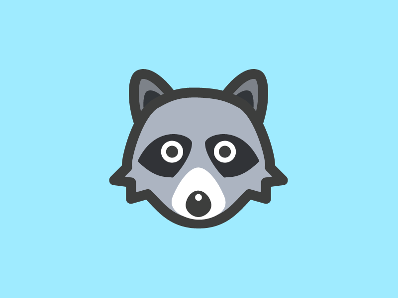 800x600 Raccoon