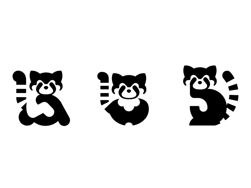 800x600 Racoon Icon
