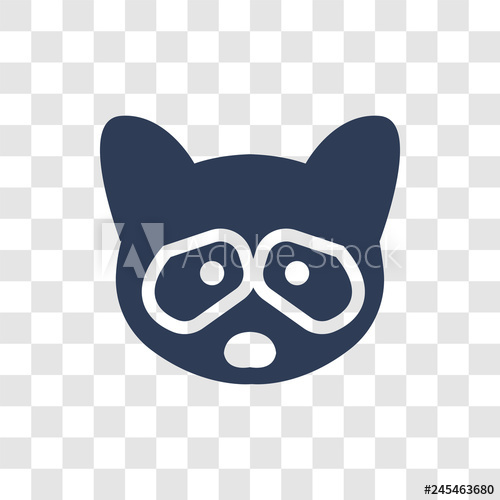 500x500 Racoon Icon Vector