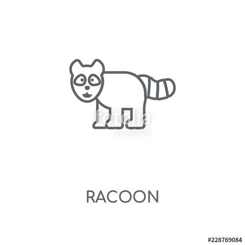 500x500 Racoon Icon Stock Image And Royalty Free Vector On Fotolia