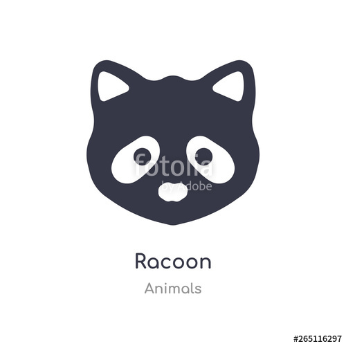 500x500 Racoon Icon Isolated Racoon Icon Vector Illustration From Animals