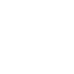 256x256 White Radioactive Icon