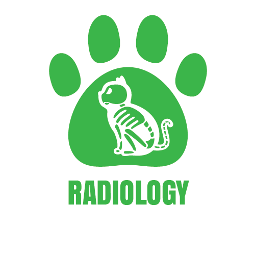 500x500 Salt River Vet Icon Radiology