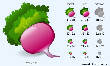 464x280 Radish Icon Image Desktop Buffet Icons