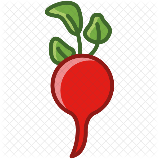 512x512 Radish Icon Of Colored Outline Style
