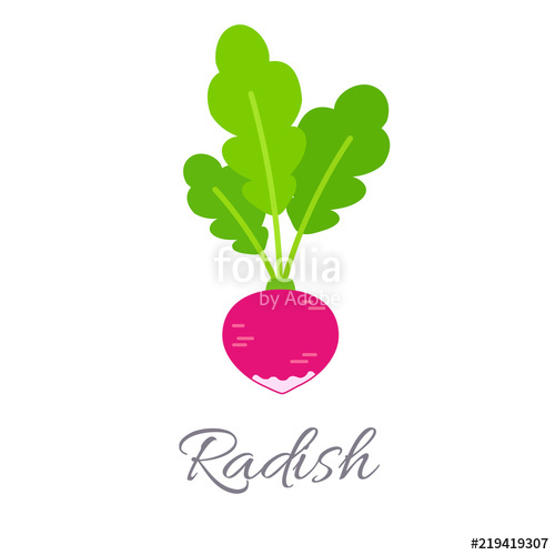 500x500 Radish Icon With Title Stock Image And Royalty Free Vector