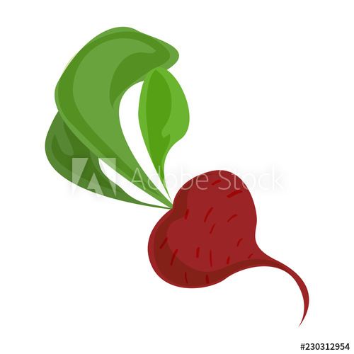 500x500 Radish Icon Cartoon Of Radish Vector Icon For Web Design Isolated