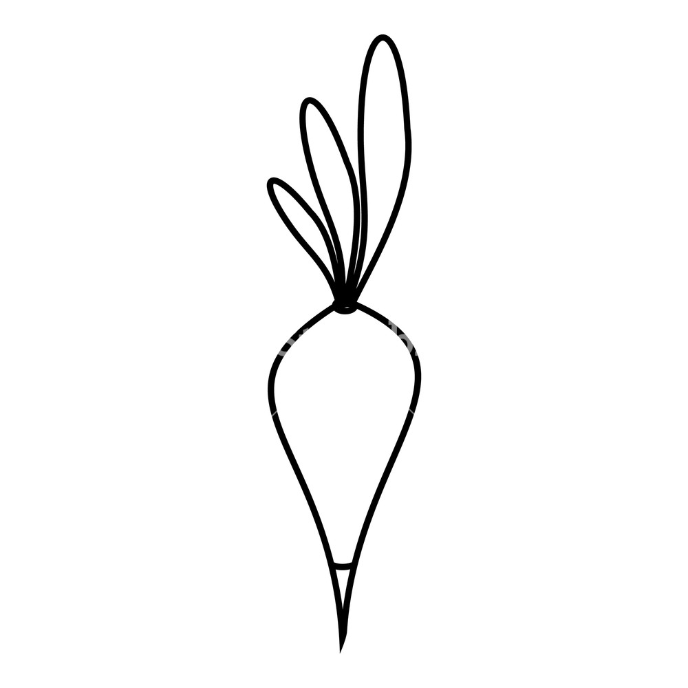 1000x1000 Radish Icon Outline Illustration Of Radish Vector Icon For Web