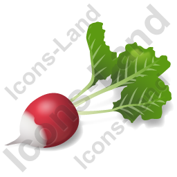 256x256 Vegetable Radish Icon, Pngico Icons