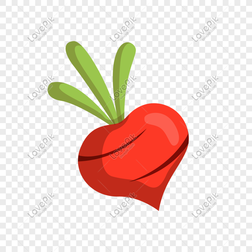 860x860 Vegetable And Vegetable Radish Icon Png Image Picture Free