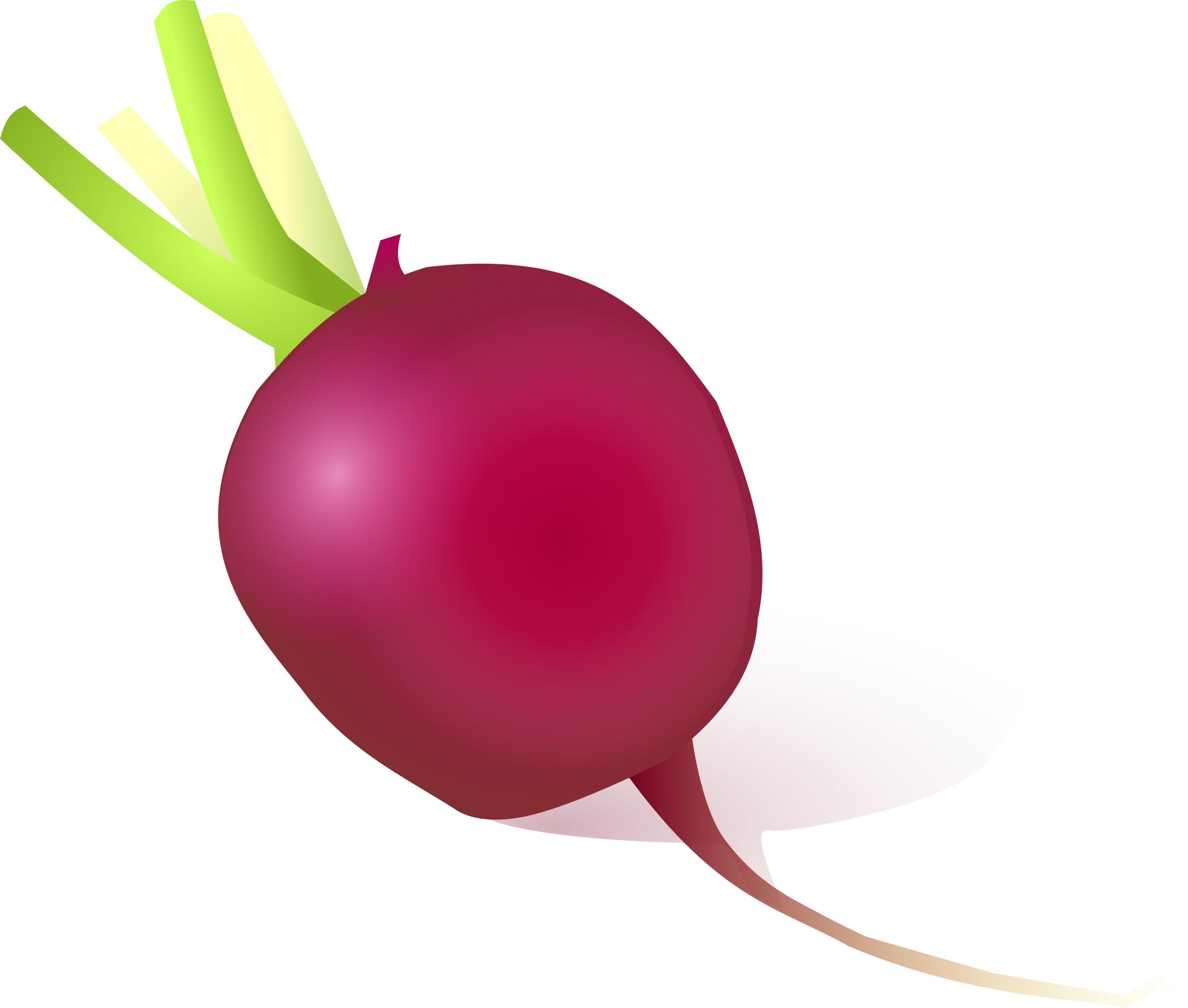 2400x2037 Radish Icons Png