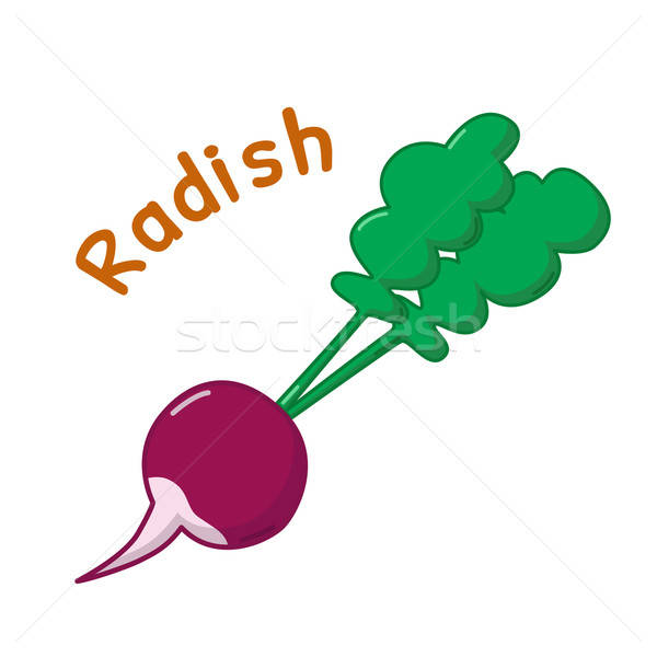 600x600 Isolated Radish Icon Vector Illustration Nataliia Trofimova