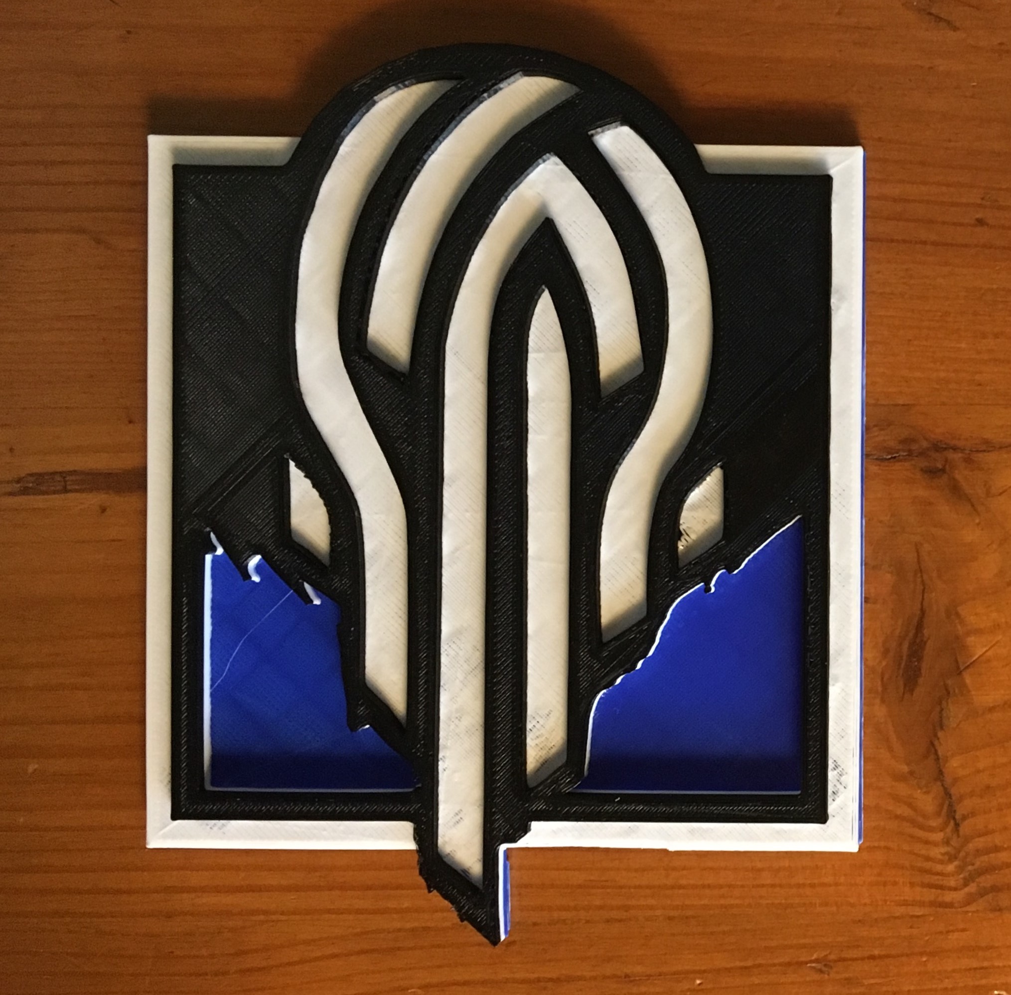 2029x1996 Rainbow Six Siege Icon
