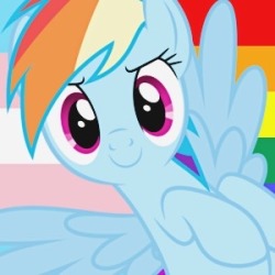 250x250 Trans Rainbow Dash Tumblr