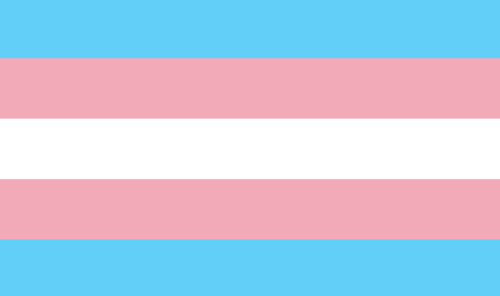 Secret Whatsapp Trick 'gives You Hidden Transgender Pride Flag 1756x1040 Secret Whatsapp Trick 'gives You Hidden Transgender Pride Flag