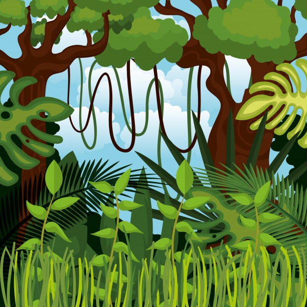 Jungle Landscape Background Isolated Icon Design Vector Premium 626x626 Jungle Landscape Background Isolated Icon Design Vector Premium