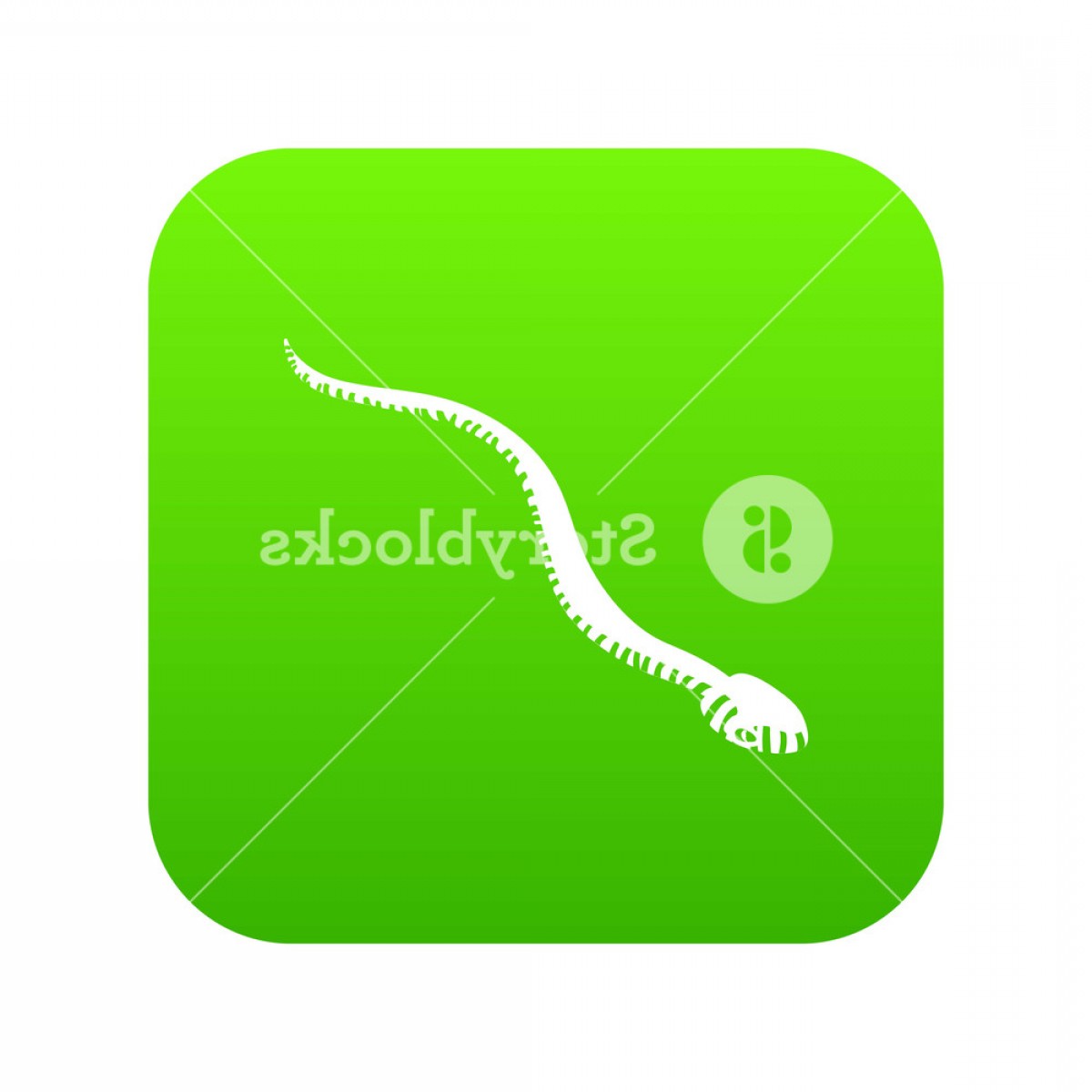 Mamba Snake Icon Green Vector Isolated On White Background 1200x1200 Mamba Snake Icon Green Vector Isolated On White Background