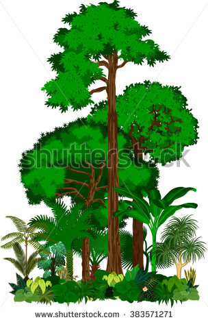Rainforest Icon 304x470 Rainforest Icon