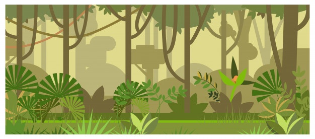 Rainforest Vectors, Photos And Free Download 626x276 Rainforest Vectors, Photos And Free Download