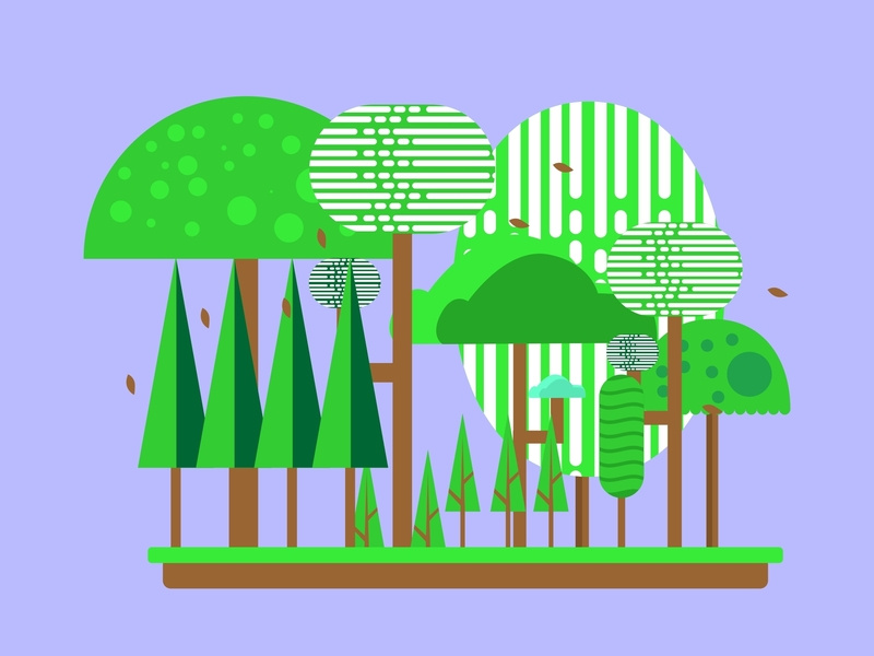 Tropical Rainforest 800x600 Tropical Rainforest