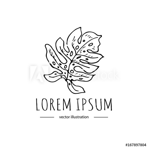 Hand Drawn Doodle Monstera Tropical Leaf Icon On White Background 500x500 Hand Drawn Doodle Monstera Tropical Leaf Icon On White Background