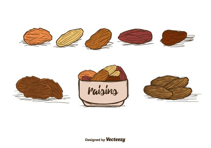 700x490 Raisins Vector