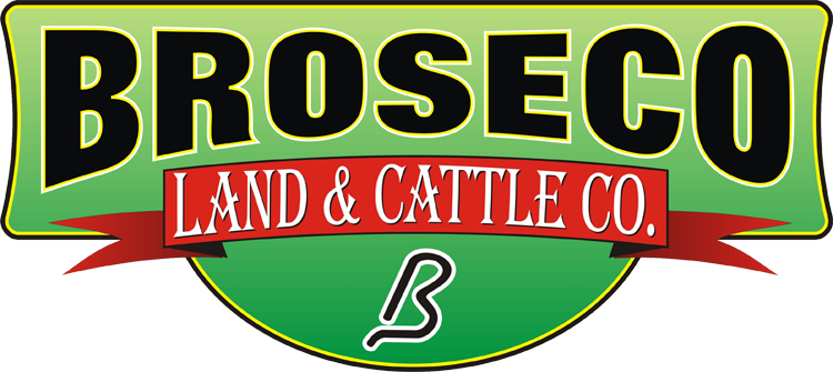 750x335 Broseco Ranch Omaha, Tx Icon Global Group